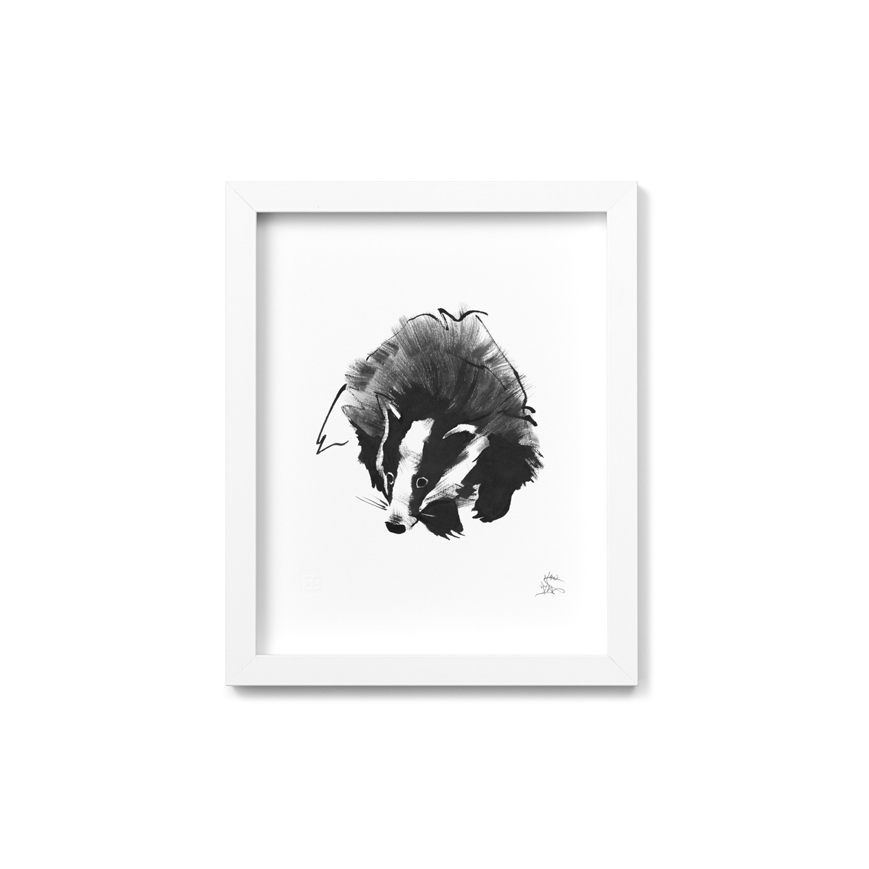 Badger fine art print