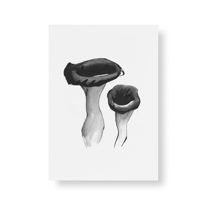 black trumpet mushroom postcard art print