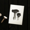 Black trumpet mushroom card