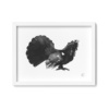 capercaillie framed wall art
