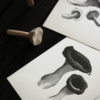 Mushroom card art print