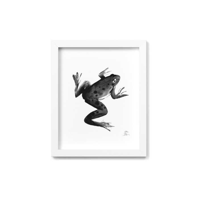 Frog framed wall art