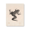 Frog plywood art