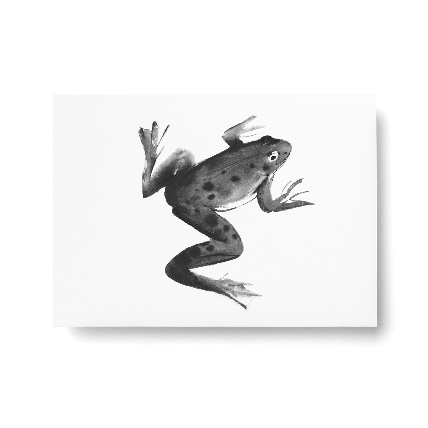 Frog postcard