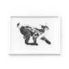 Lynx fine art print