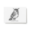 owl postcard art print by teemu jarvi