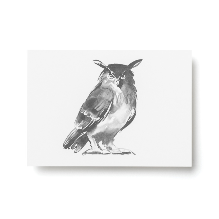 owl postcard art print by teemu jarvi