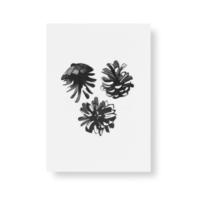 pine cones postcard art print by teemu jarvi
