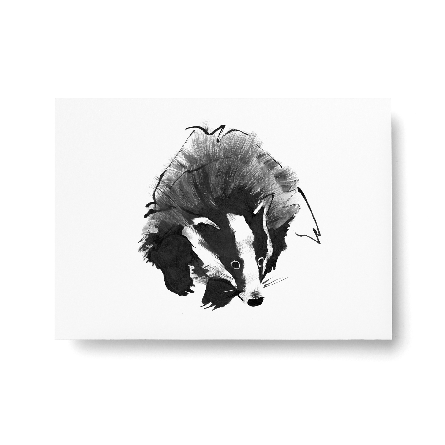 Badger postcard
