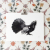 capercaillie fine art print