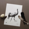 Black & white Crane art print