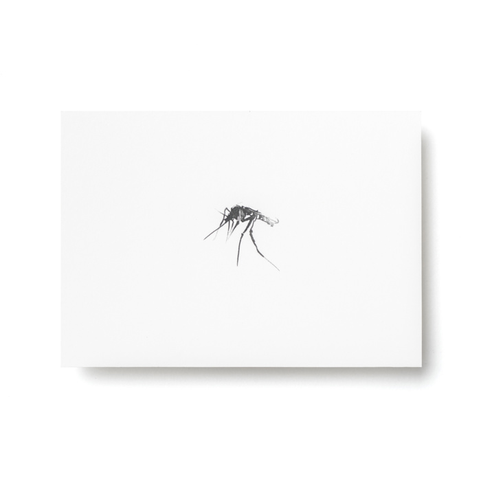 mosquito postcard art print teemu jarvi