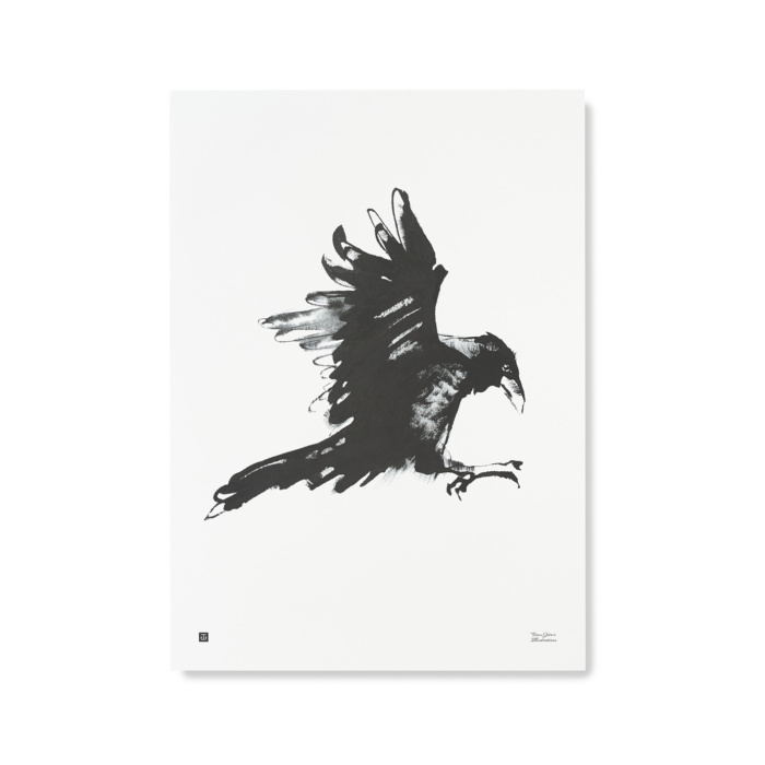 Black & white raven poster