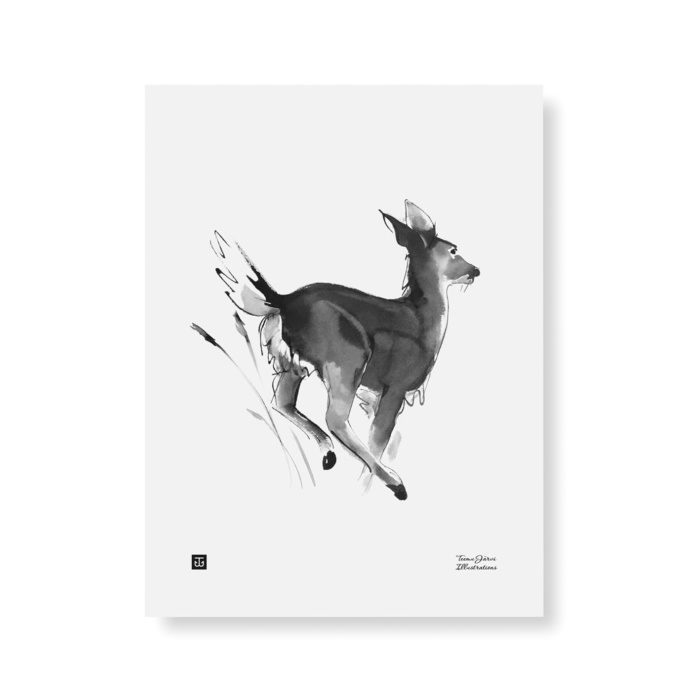 Black & white white tailed deer poster