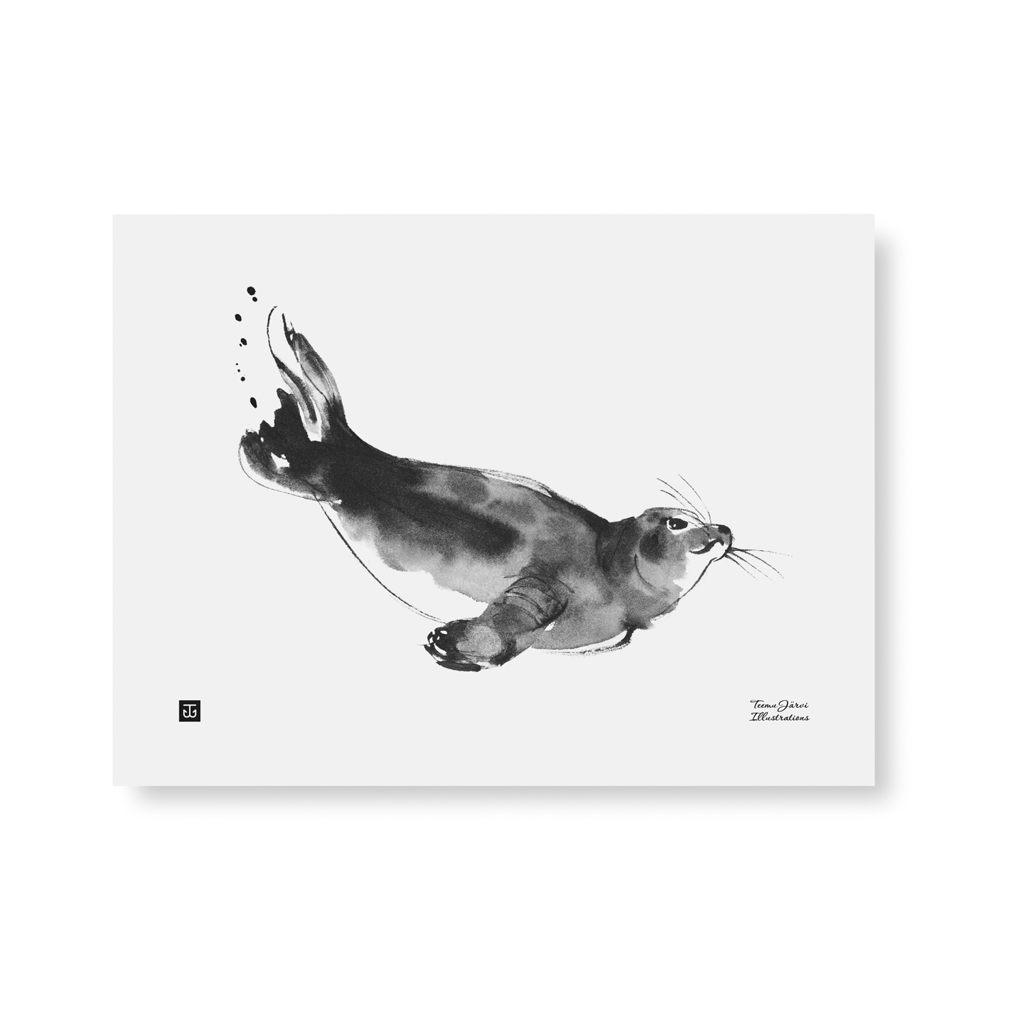 Seal art print