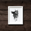 Elkhounddog fine art print