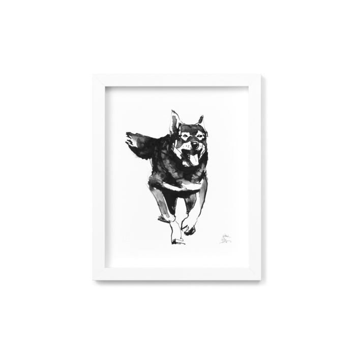 Elkhound dog framed wall art