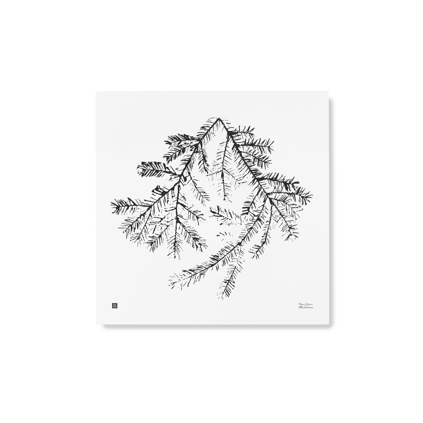 Spruce branch art print