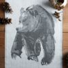 Gentle Bear tea towel home textile