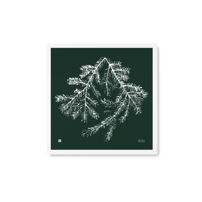Forest green square Spruce Branch poster