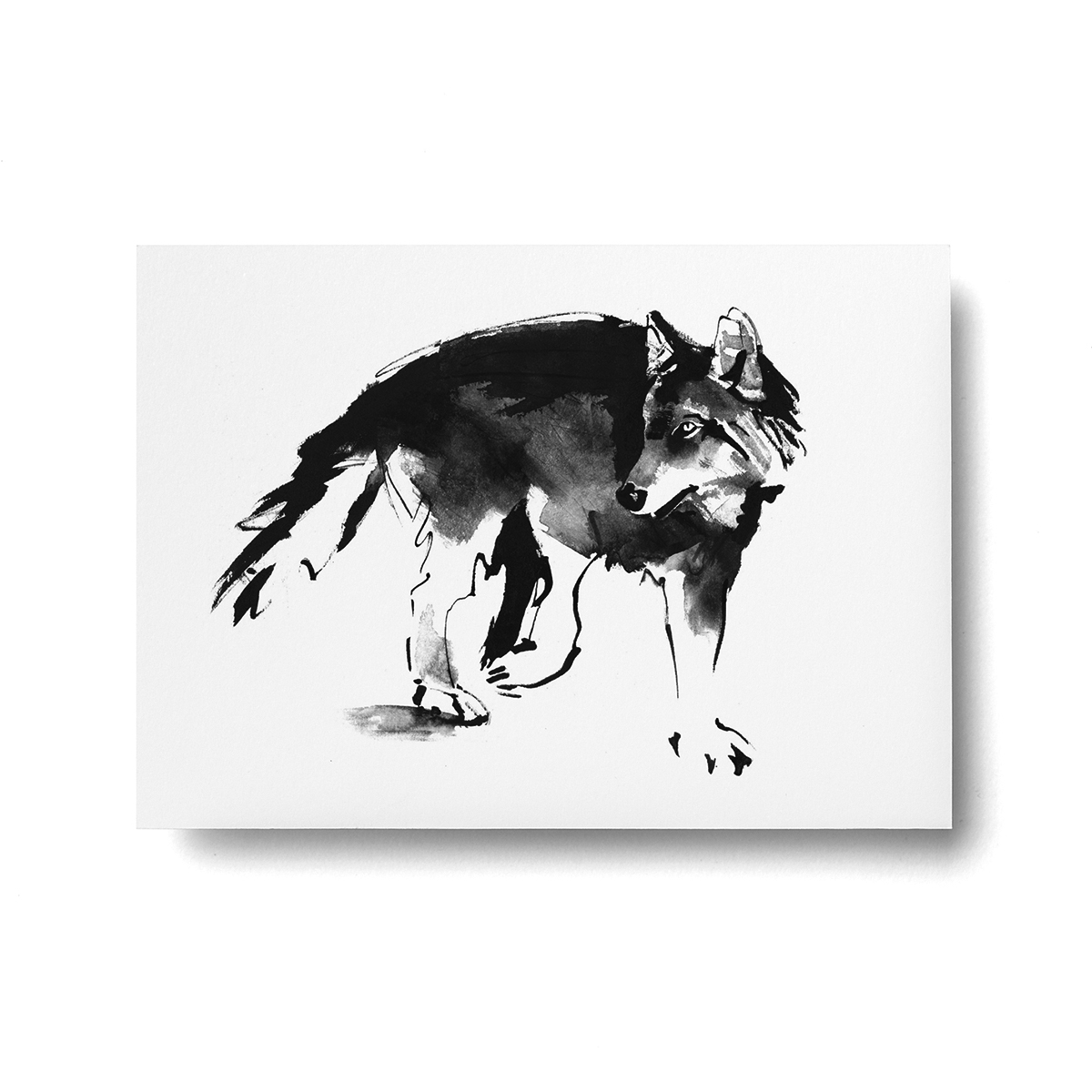 Wolf postcard