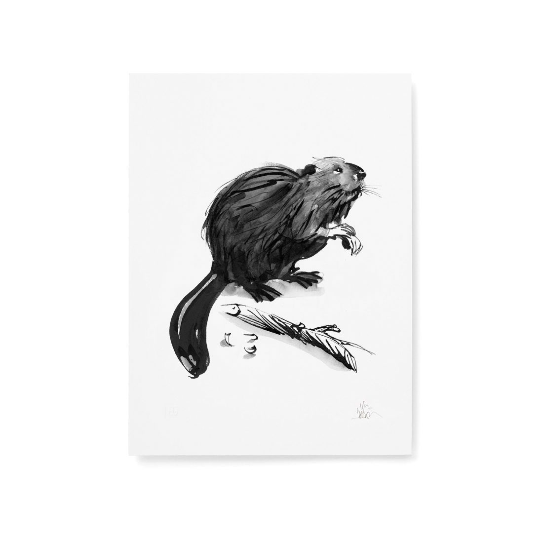 Curious beaver fine art print