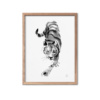 Tiger fine art print