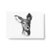 Charming deer postcard