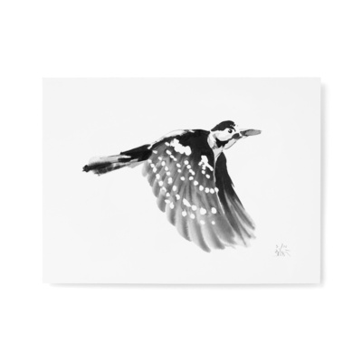 White-backed woodpecker fine art print