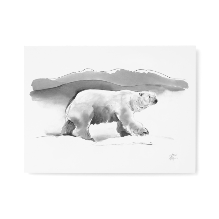 Polar bear fine art print