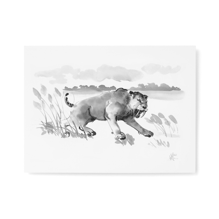 Saber-toothed cat fine art print