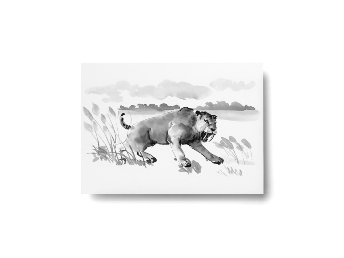 Saber-toothed cat postcard