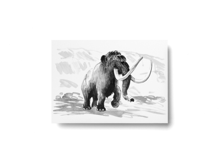 Woolly mammoth on the glacier postcard