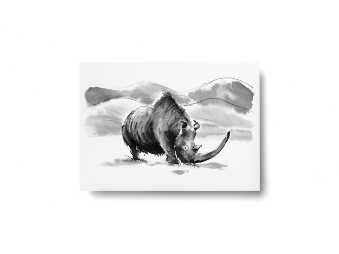 Woolly rhinoceros postcard