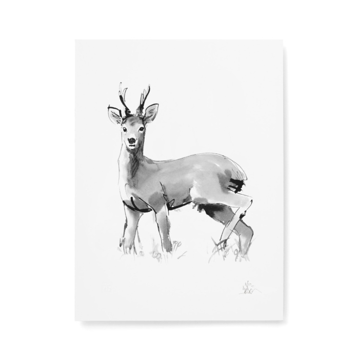 Alert deer fine art print