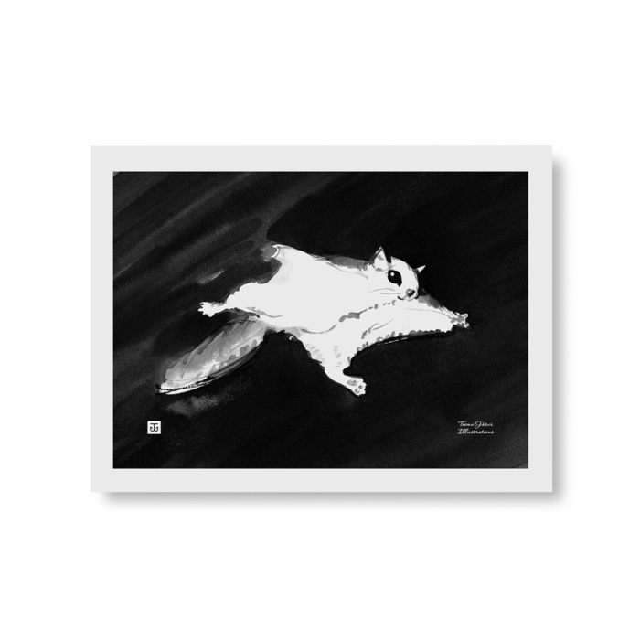 Flying squirrel art print