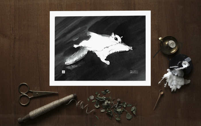 Flying squirrel art print