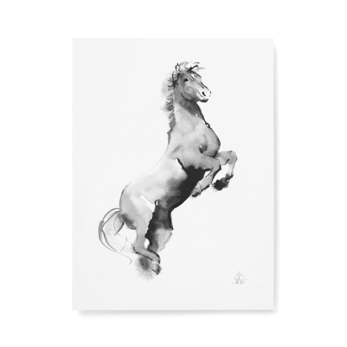 Horse fine art print