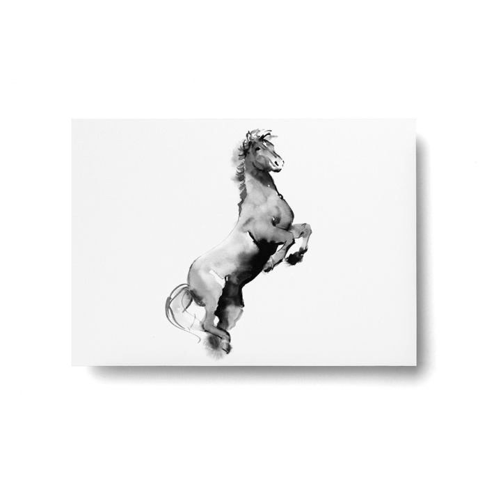 Horse postcard