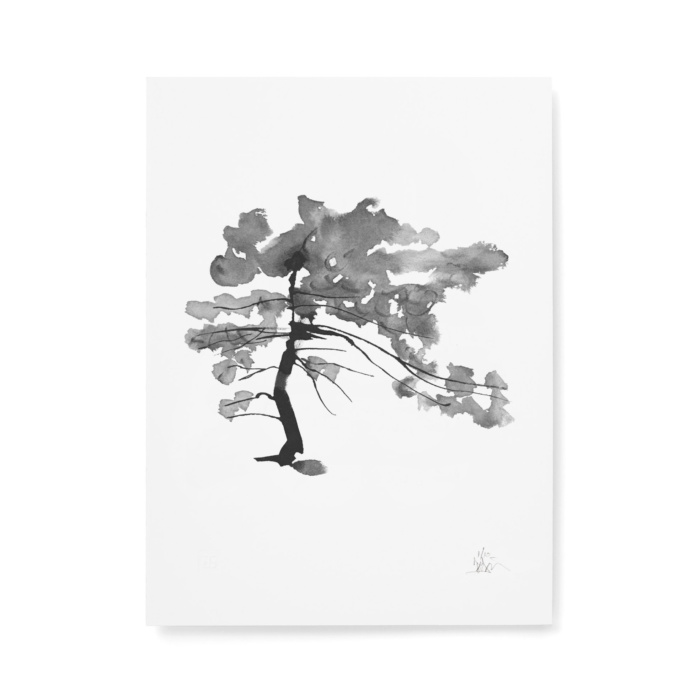 Pine tree fine art print