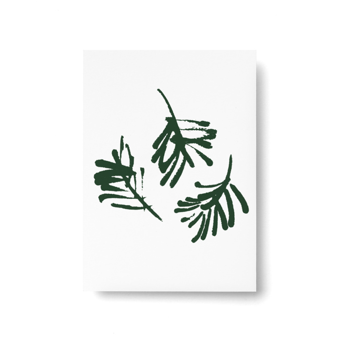Conifer postcard