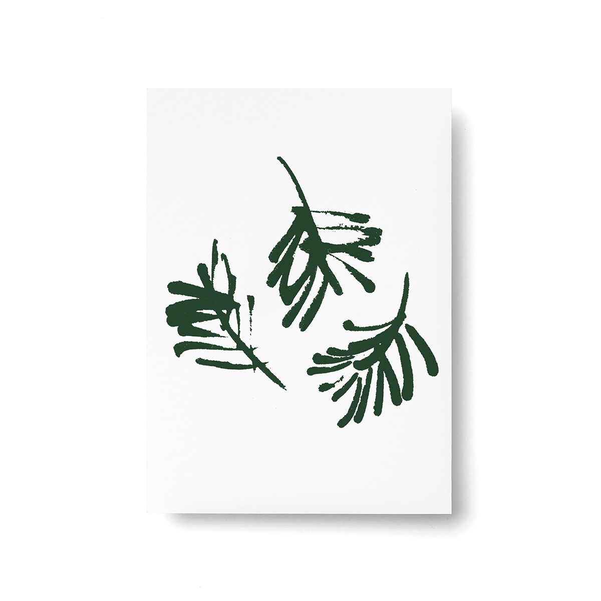 Conifer postcard