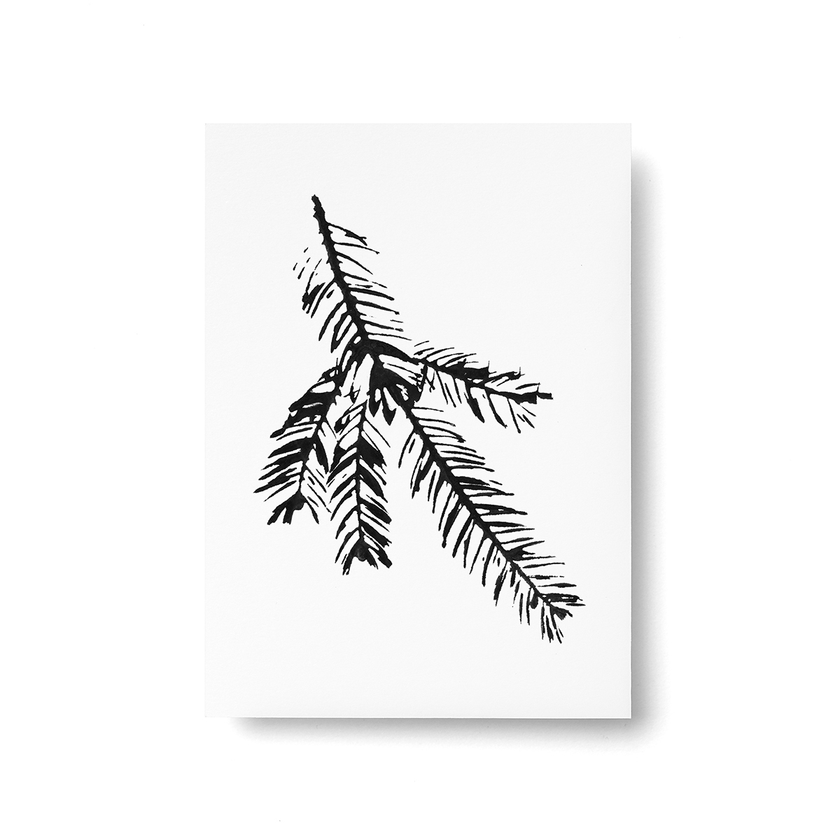 Spruce branch postcard