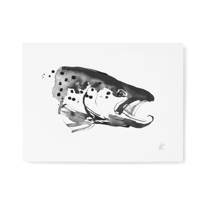 Trout fine art print