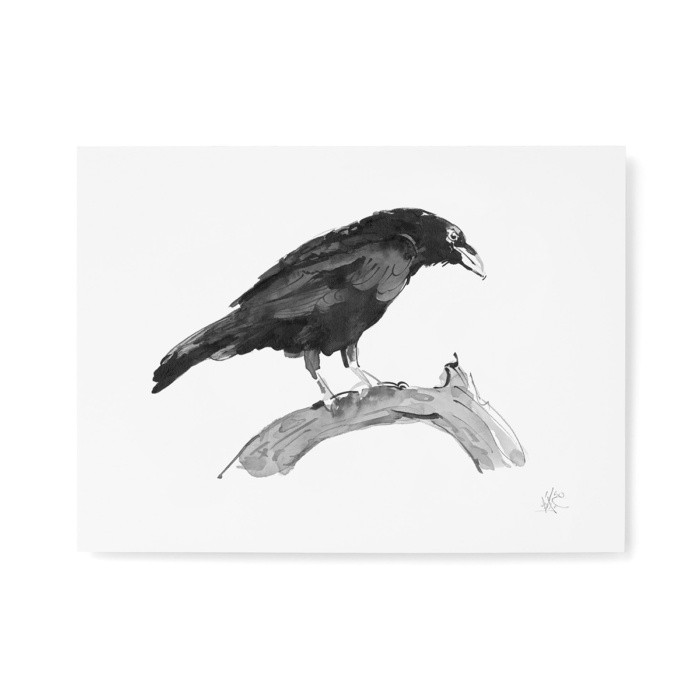 Watchful raven fine art print