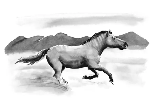 The hippidion (Hippidion principale) was a unique, ancient equid species that lived in the Argentine Pampas during the Ice Age. Unlike modern horses, it had a soft, deer-like nose and nimble lips for picking leaves, flowers, and fruits, differing from wild horses that mainly ate grasses. The hippidion was smaller, with some as small as ponies. As forests spread, their habitat shrank, leading to their extinction around 10,000 years ago. Ice Age humans hunted them for food, using large spear points designed for big game.

The artwork was created for the Giants of the Ice Age exhibition at @heurekafi

****

Hippidion (Hippidion principale) oli jääkauden aikainen pieni hevonen, joka kuului omaan, ikivanhaan hevoseläinten ryhmään. Se oli lyhytjalkaisempi kuin nykyiset hevoset,  sillä oli suuri, pehmeä nenä kuin hirvellä. Lisäksi sillä oli näppärät huulet, joilla se poimi puista ja pensaista lehtiä, kukkia ja hedelmiä. Siinä se erosi villihevosista, jotka söivät pääasiassa heinää. Jääkauden loppuessa sen elinympäristö pieneni metsien leviämisen myötä, ja hippidion kuoli sukupuuttoon noin 10 000 vuotta sitten. Jääkauden ihmiset metsästivät sitä suurilla keihäänkärjillä.

Kuvitus on luotu Jääkauden jättiläiset -näyttelyä varten @heurekafi

#jääkaudenjättiläiset #jääkaudenjättiläisetnäyttely #giantsoftheiceage #iceage #jääkausi #hippidion #wildhorses #teemujärvi #teemujarvi #teemujärviillustrations #teemujarviillustrations #sciencecenterheureka