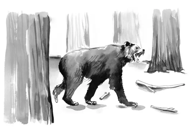 The short-faced bear (Arctodus simus) was the largest predatory mammal in North America’s history, with males weighing up to 1,000 kg. It lived alongside brown and black bears but was not their ancestor; its closest relative is the spectacled bear from South America. The bear was omnivorous, primarily eating plants but also preying on animals and scavenging from other predators like dire wolves. It inhabited a wide range, from Alaska to Mexico, and was most comfortable in forests. The short-faced bear, along with many other large animals, went extinct about 12,000 years ago, possibly due to human activity and environmental changes.

The artwork was created for the Giants of the Ice Age exhibition at @heurekafi

****

Tylppäkuonokarhu (Arctodus simus) oli Pohjois-Amerikan suurin petoeläin, jonka urokset saattoivat painaa jopa tuhat kiloa. Se eli laajalla alueella Alaskasta Meksikoon, viihtyen erityisesti metsissä. Karhu oli kaikkiruokainen ja söi kasveja, mutta myös saalisti eläimiä. Tylppäkuonokarhu ja muut suuret nisäkkäät kuolivat sukupuuttoon noin 12 000 vuotta sitten, mahdollisesti ihmisten maastopalojen ja muiden ympäristönmuutosten seurauksena. Sen lähin elävä sukulainen on silmälasikarhu Etelä-Amerikassa.

Kuvitus on luotu Jääkauden jättiläiset -näyttelyä varten @heurekafi

#jääkaudenjättiläiset #jääkaudenjättiläisetnäyttely #jääkausi #iceage #giantsoftheiceage #shortfacedbear #tylppäkuonokarhu #teemujärvi #teemujarvi #teemujärviillustrations #teemujarviillustrations  #sciencecenterheureka